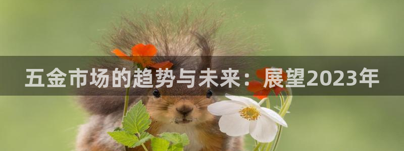 云顶国际25万没法提现