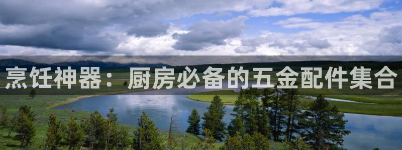 云顶国际服账号