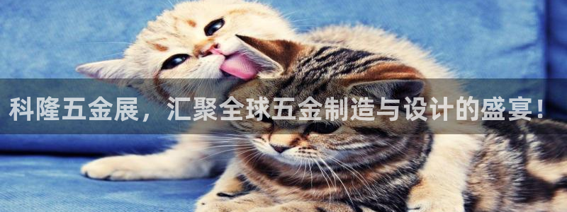云顶国际前台电话号码