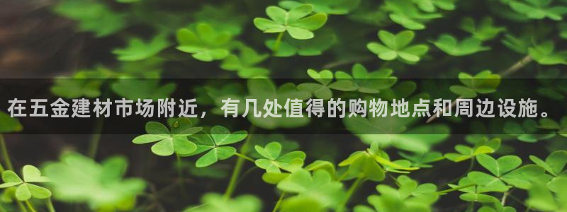 云顶国际服名字不可用
