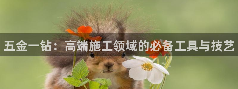 云顶国际服mac汉化