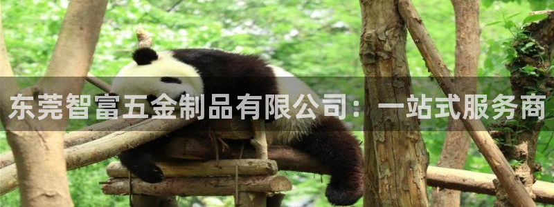 云顶国际平台违法吗?