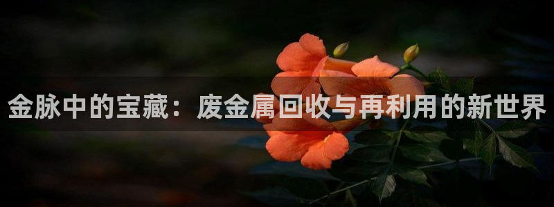 云顶国际yun588