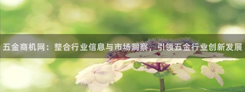 云顶国际官网