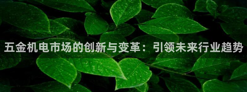 云顶国际取款多久到账
