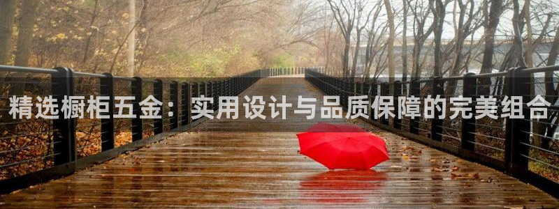 云顶国际下载安装