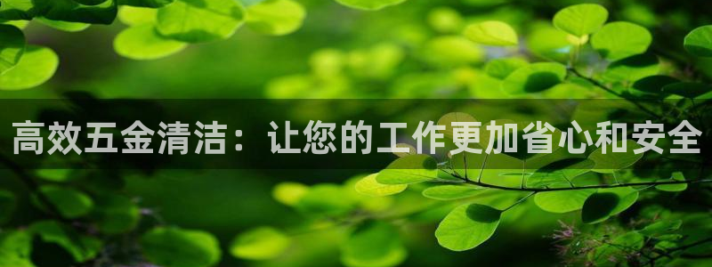 云顶集团简介