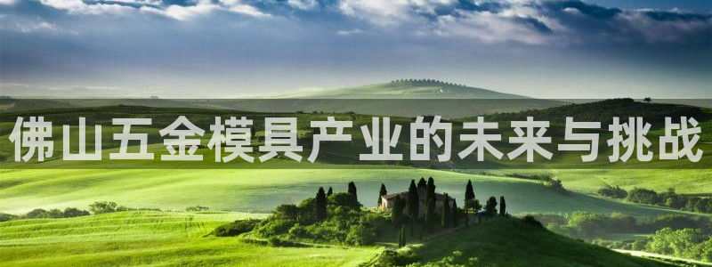 云顶国际是什么公司