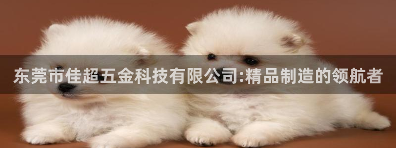 云顶国际大酒店的位置图