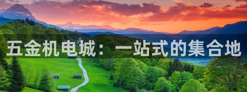 云顶国际服怎么选服务器