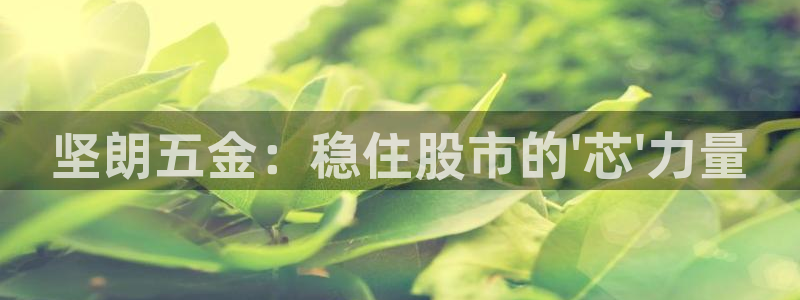 云顶国际商业广场商户