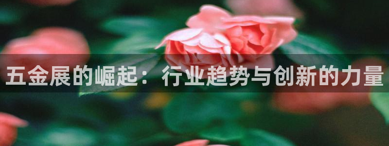 云顶国际和百姓渔村哪家好