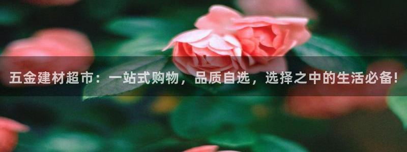 云顶集团是哪个国家的