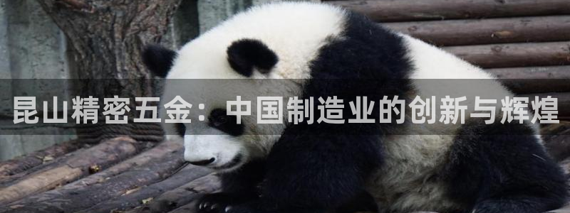 2322云顶