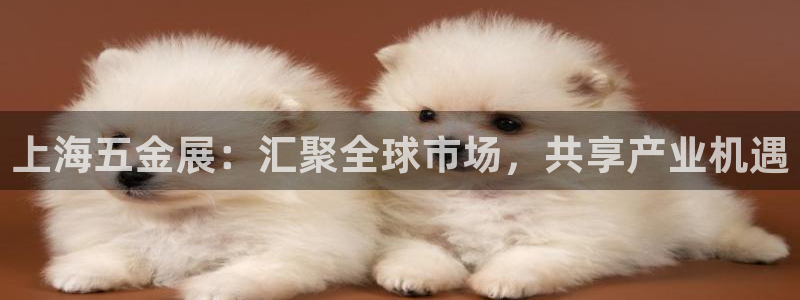 云顶国际是合法的吗
