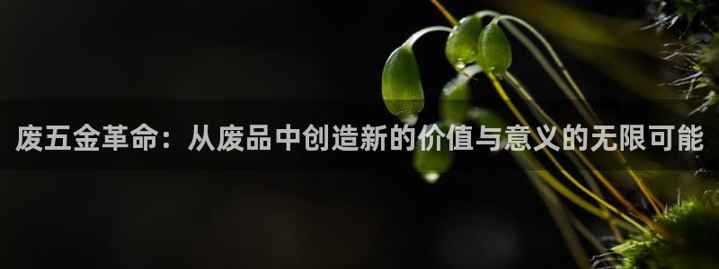 云顶国际官方网页