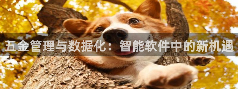 云顶国际装饰设计