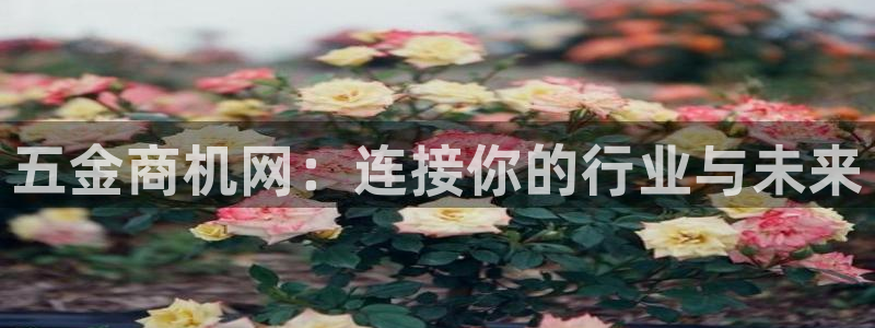 云顶集团在中国上市了吗