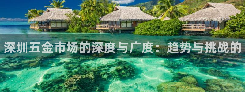 云顶国际服S9什么时候更新