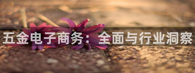 云顶国际足球app下载安卓