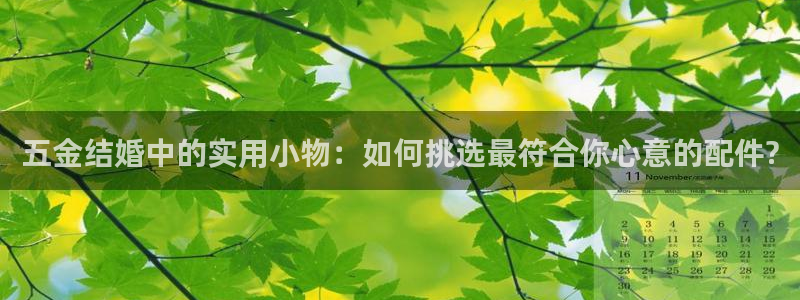 云顶国际服充值