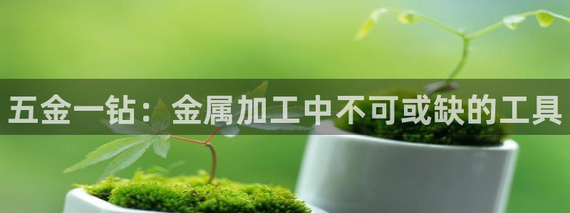 云顶国际网站