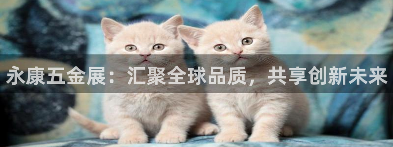 9559云顶国际