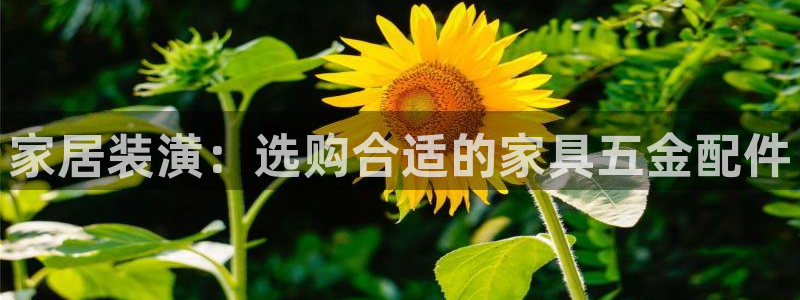 云顶国际集团游戏官网