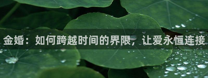 云顶集团GM