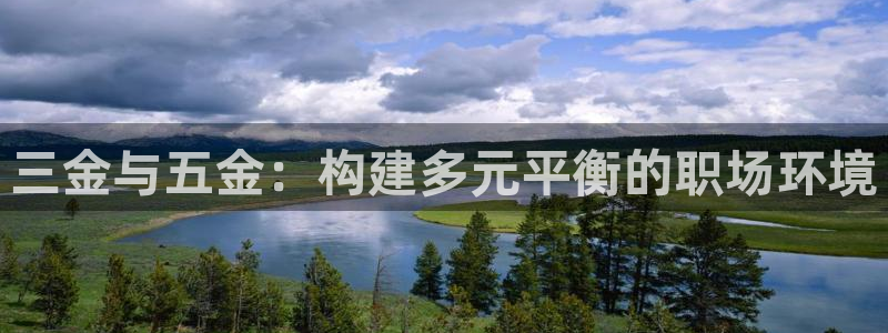 云顶国际软装公司怎么样