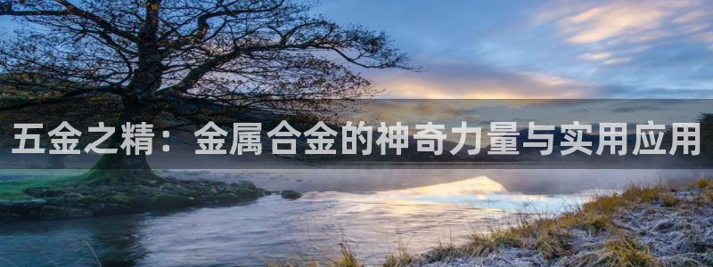 云顶集团专属APP