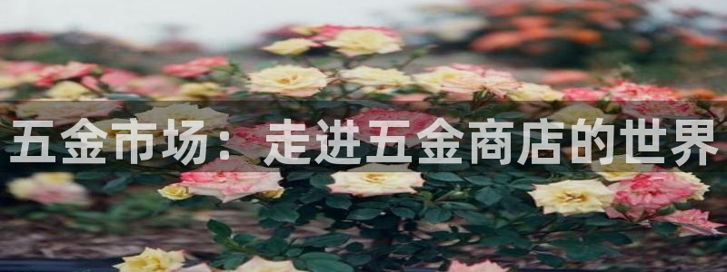 云顶国际期临沭在哪