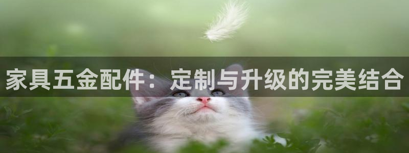 云顶国际唯一官网