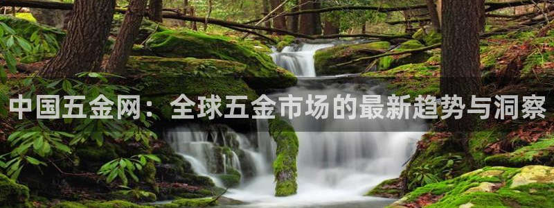 云顶集团优惠申请大厅