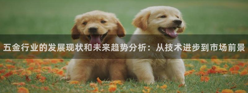 4008浏览器云顶下载