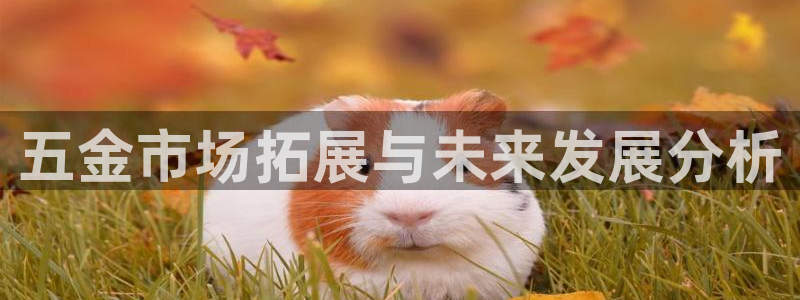 云顶国际唯一官网