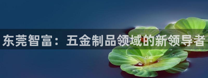 云顶集团优惠申请大厅