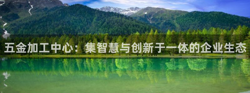 北大街云顶国际酒店在哪