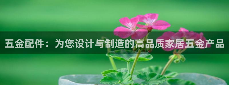 云顶国际提现让你拍身份证