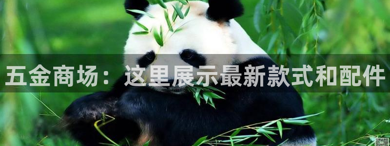 云顶国际不出款怎么办