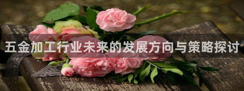 云顶国际平台怎么样