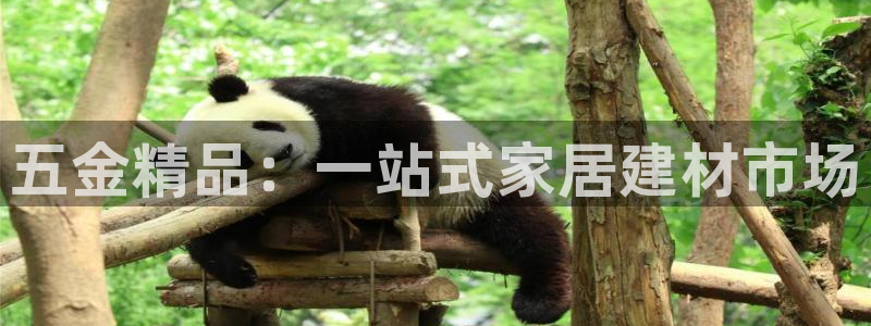 云顶国际酒店老板叫什么