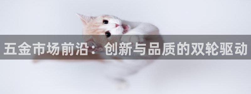 云顶国际服什么时候更新s90