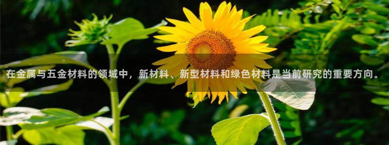 云顶国际前台电话