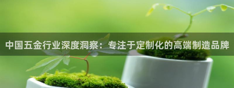 云顶国际服汉化