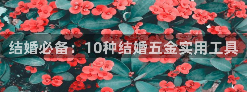 云顶集团有限公司,林东简历