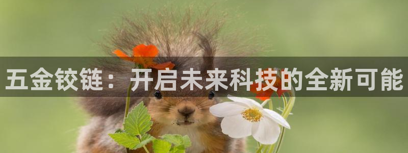 云顶国际pg网站