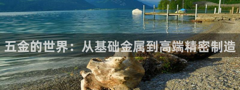 4008浏览器云顶下载