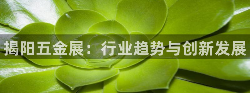 云顶国际公馆有取暖吗