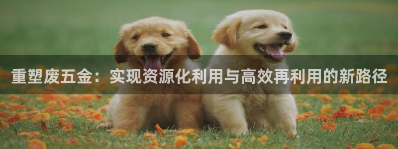 云顶国际服名字